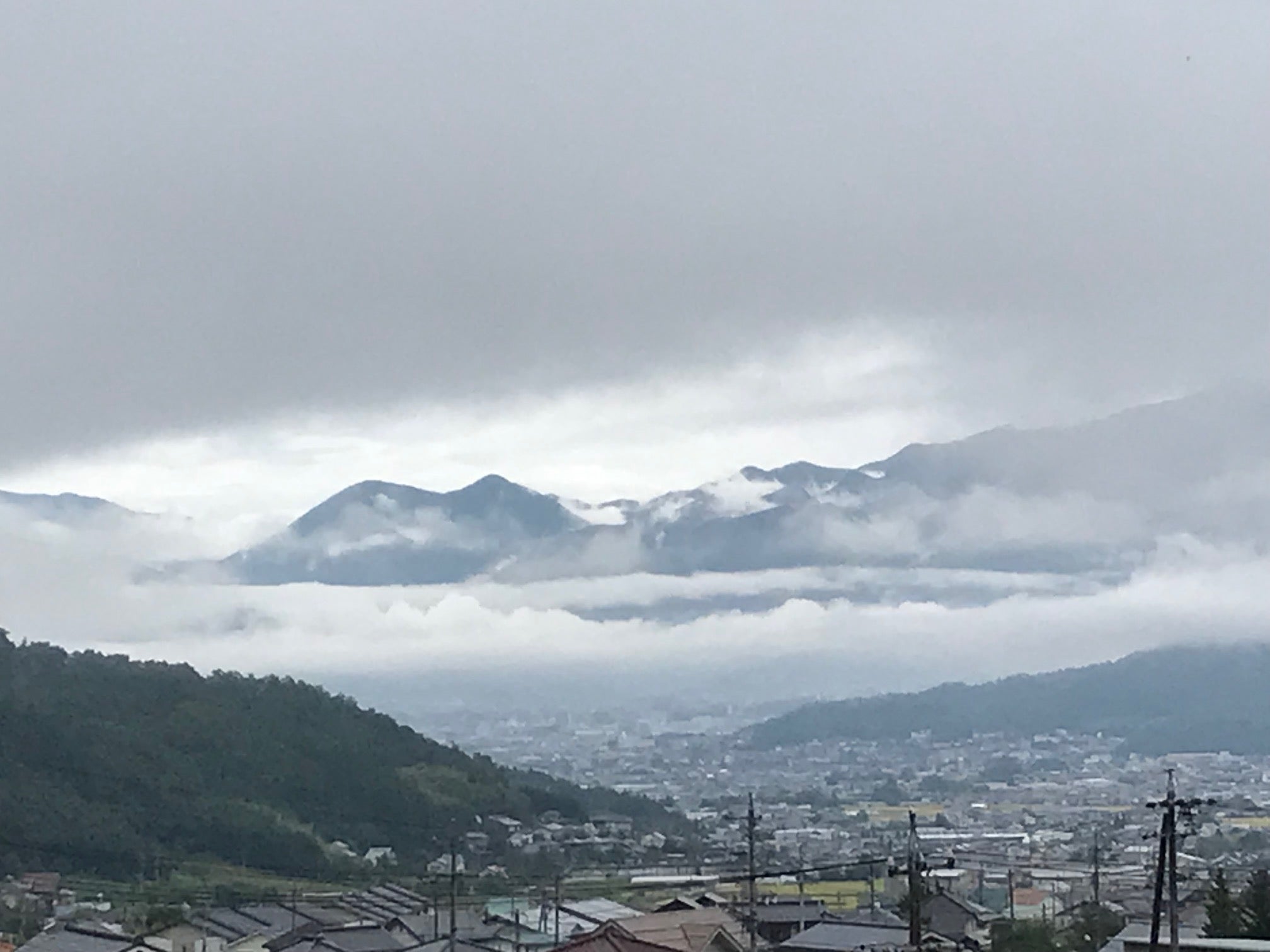 o踂̗
