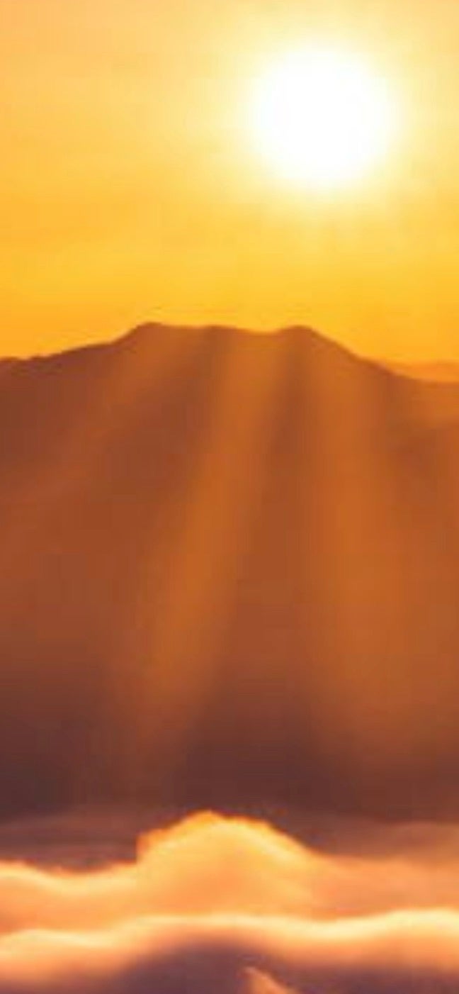 �����܂��Ă��߂łƂ��������܂�