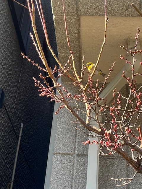 ���W�������I